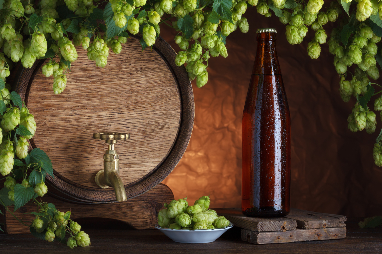 A glam shot of a beer barrel and beer bottle surrounded by green fruit to represent the differences between draft and bottled beer.